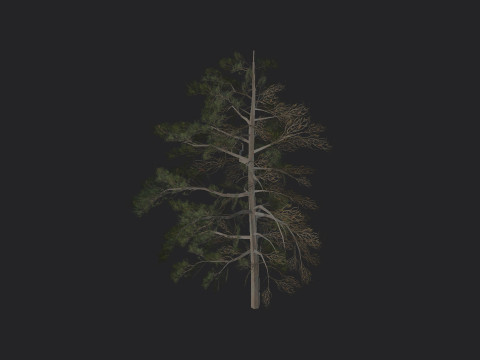 Tree 030 3D Modell