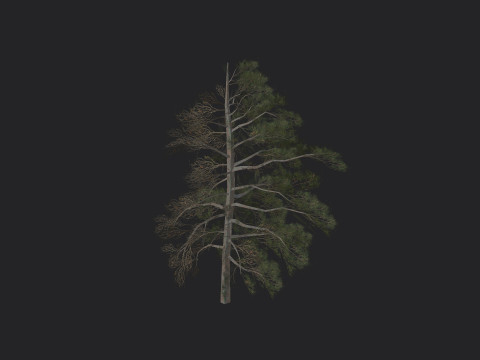 Tree 030 3D Modell