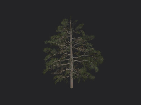 Tree 030 3D Modell
