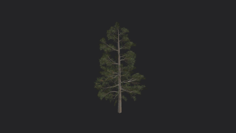 Tree 031 3D Model .c4d .max .obj .3ds .fbx .stl .blend 