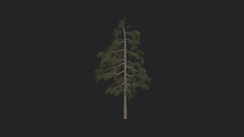 Tree 032 3Dモデル .c4d .max .obj .3ds .fbx .stl .blend 