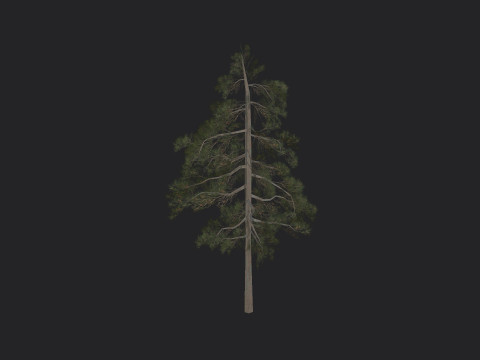 Tree 032 Model 3D