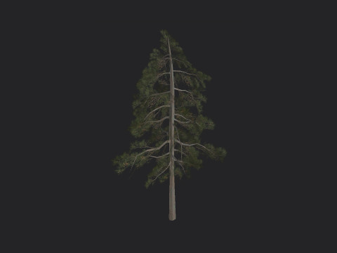 Tree 032 3Dモデル