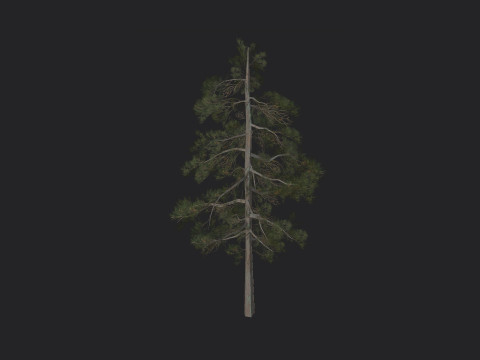 Tree 032 3Dモデル