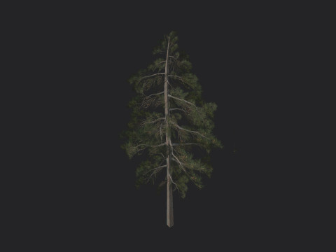 Tree 032 3Dモデル
