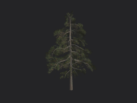 Tree 032 3Dモデル