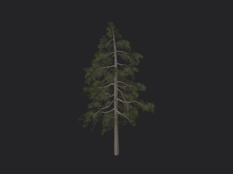 Tree 032 3Dモデル