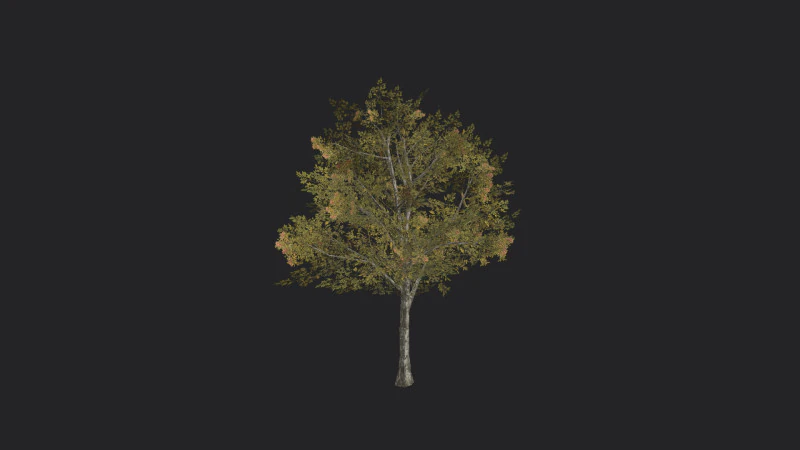 Tree 033 3D Model .c4d .max .obj .3ds .fbx .stl .blend
