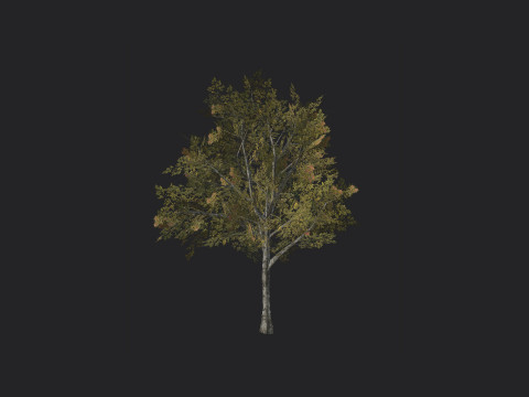 Tree 033 Modelo 3D