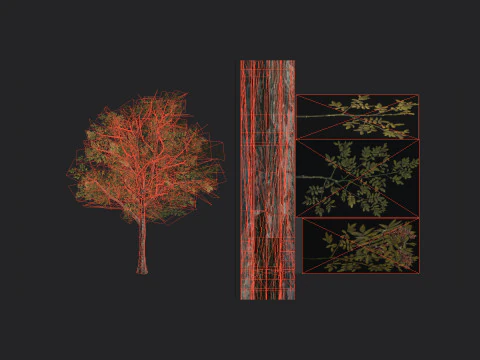 Tree 033 3D Model