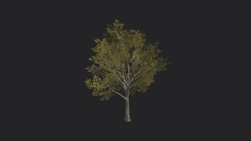 Tree 034 3D Model .c4d .max .obj .3ds .fbx .stl .blend 
