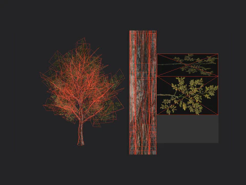 Albero 034 Modello 3D