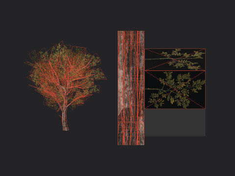 Tree 035 3D Model