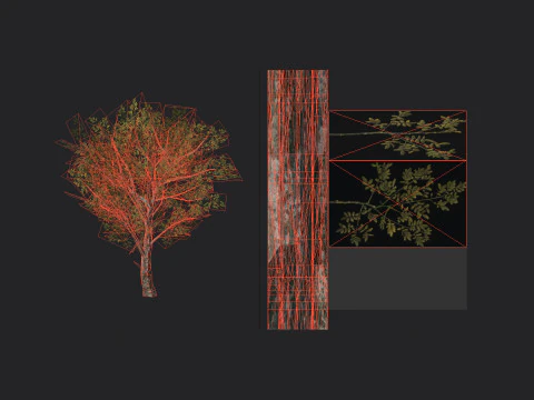 Tree 035 3D Model