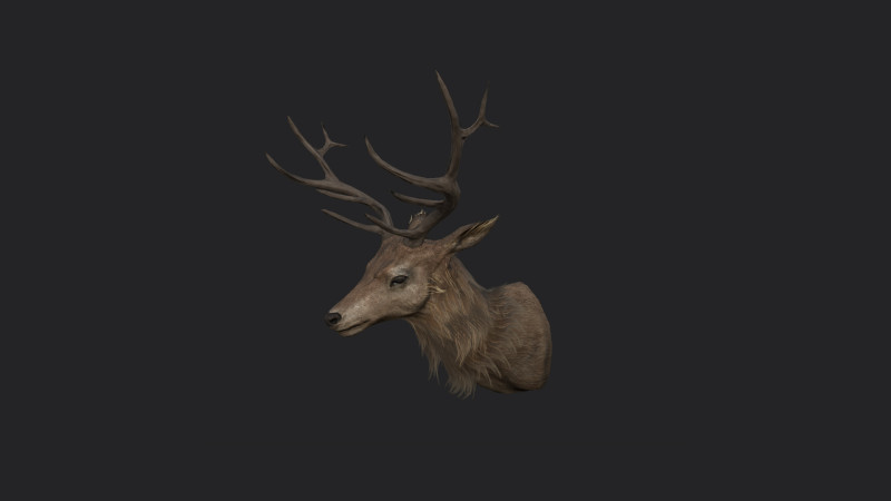 Deer 001 3D 모델 .c4d .max .obj .3ds .fbx .stl .blend 
