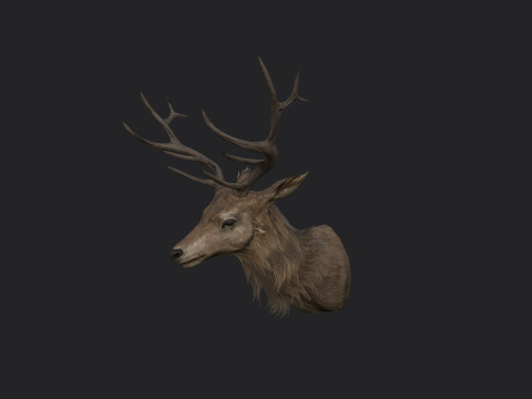 Deer 001 3D Model