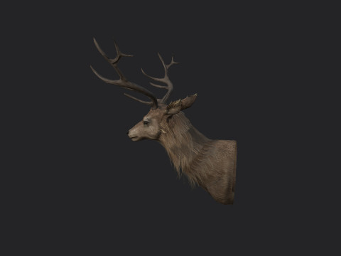 Deer 001 3D 모델