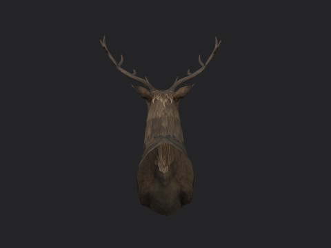 Deer 001 3D 모델