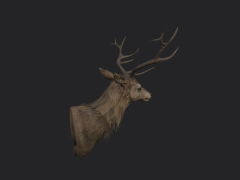 Deer 001 3D 모델