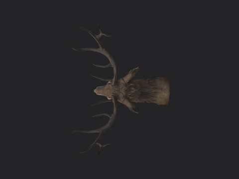 Deer 001 3D 모델