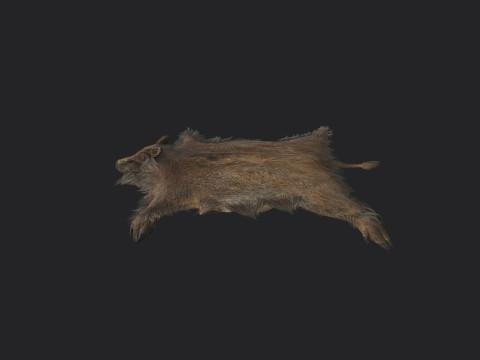 Pigskin 001 Model 3D
