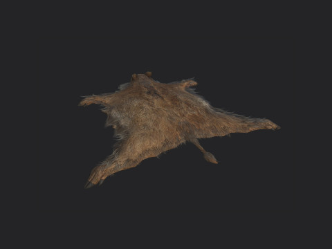 Pigskin 001 Model 3D