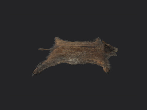 Pigskin 001 Model 3D