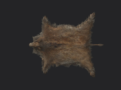 Pigskin 001 Model 3D