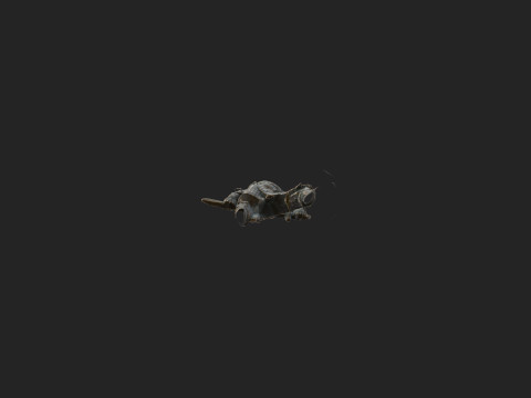 GuanBinga001 Modèle 3D
