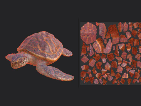 Sea turtle 001 Modelo 3D