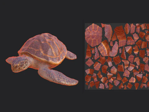 Sea turtle 001 3D Model