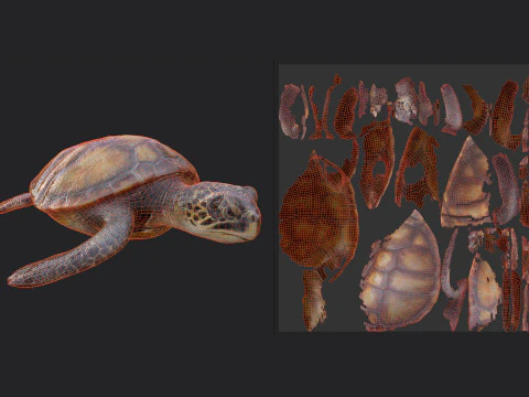 Sea turtle 002 3D Model
