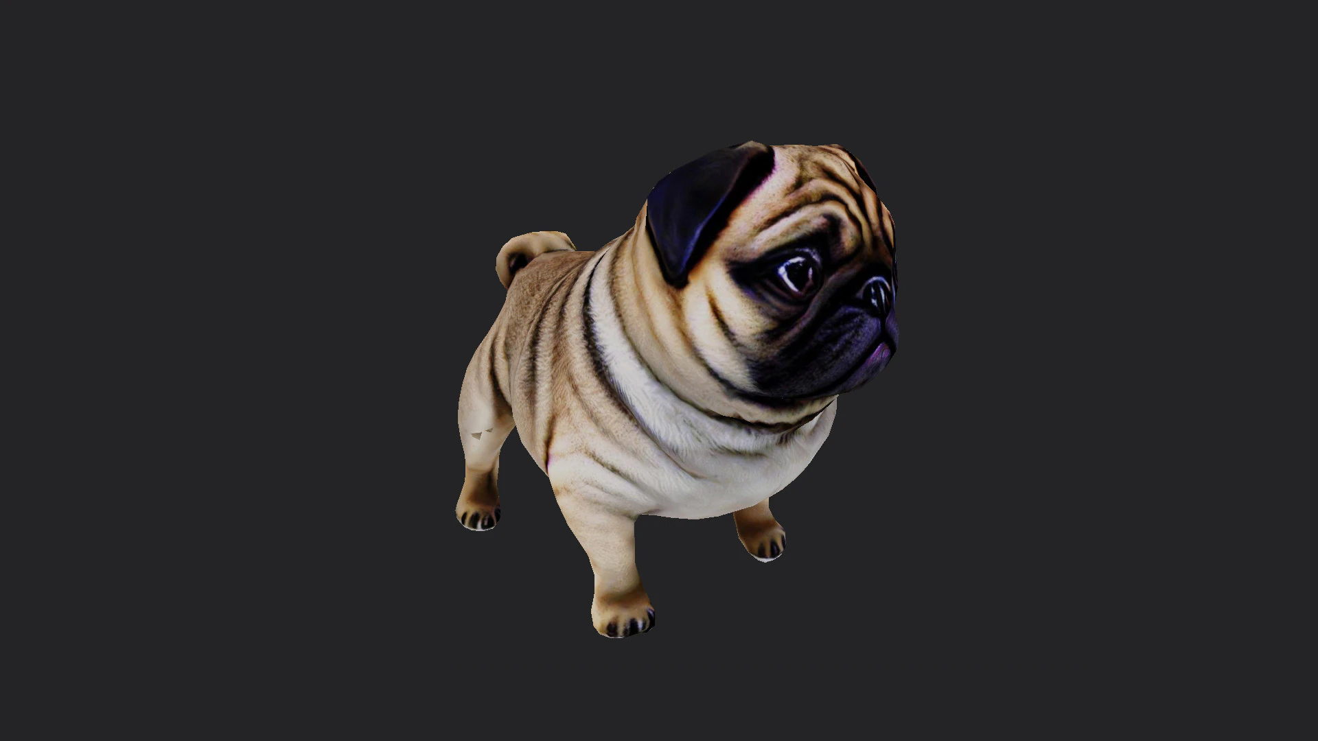 Shar pei Model 001 3D Model .c4d .max .obj .3ds .fbx .stl .blend 