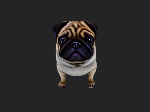 Shar pei Model 001 3D मॉडल