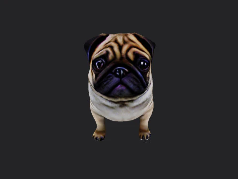 Shar pei Model 001 3D Model