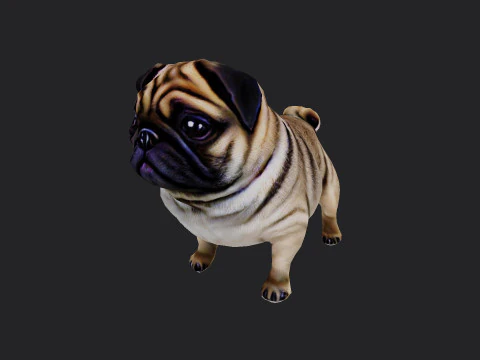 Shar pei Model 001 3D Model