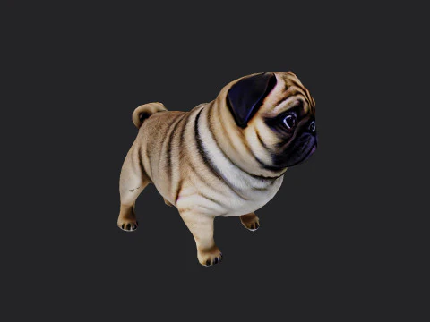 Shar pei Model 001 3D Model