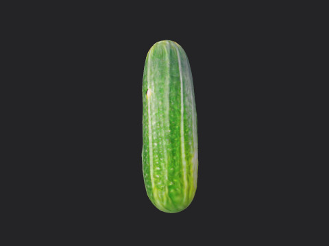 Cucumber 001 3Dモデル