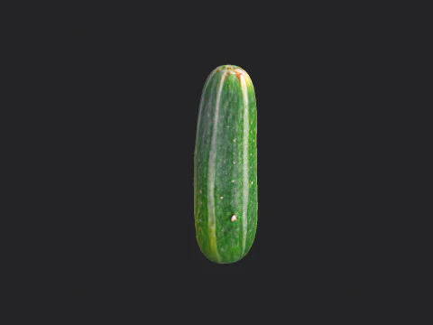 Pepino 001 Modelo 3D