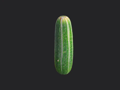 Pepino 001 Modelo 3D