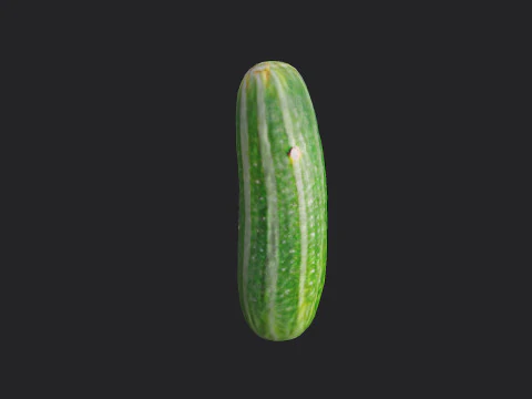 Pepino 001 Modelo 3D