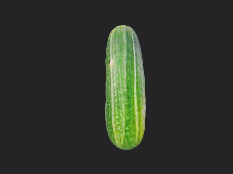 Pepino 001 Modelo 3D