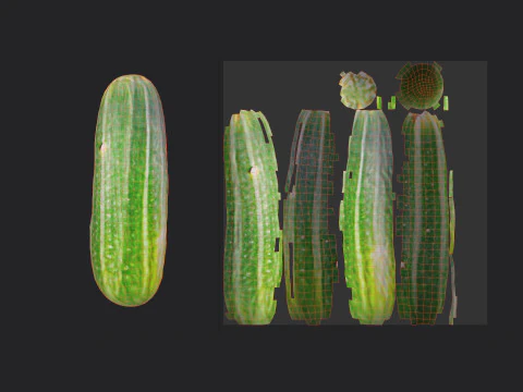 Pepino 001 Modelo 3D