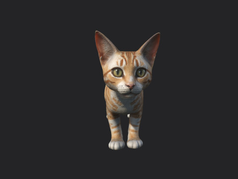 Cat 001 3Dモデル