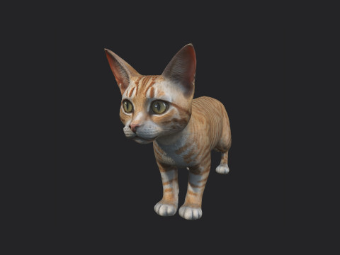 Cat 001 3Dモデル