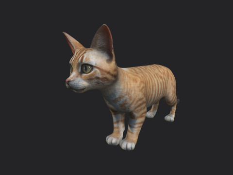 Cat 001 3Dモデル