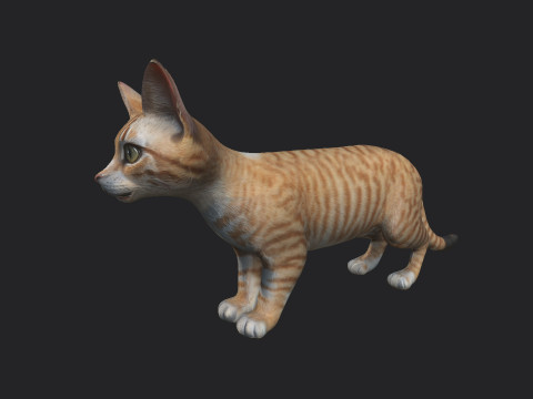 Cat 001 3Dモデル