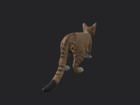 Cat 001 3Dモデル