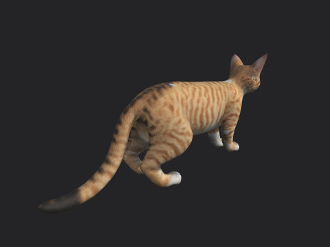 Cat 001 3Dモデル