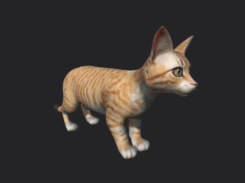 Cat 001 3Dモデル